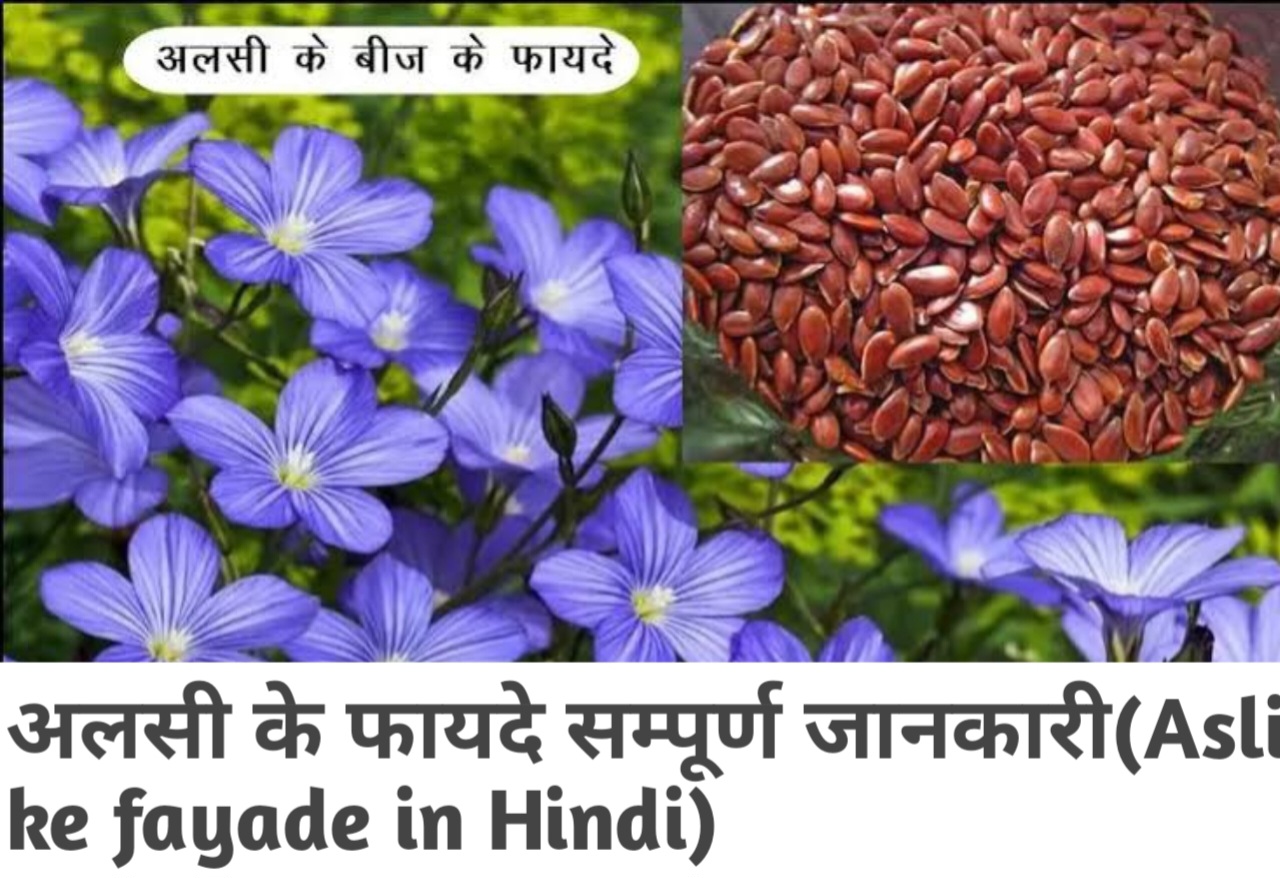 You are currently viewing अलसी के फायदे सम्पूर्ण जानकारी | Asli ke fayade in Hindi